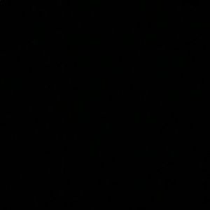 Meet your Posher, Natasha